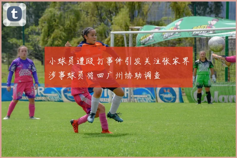 小球员遭殴打事件引发关注张家界涉事球员将回广州协助调查